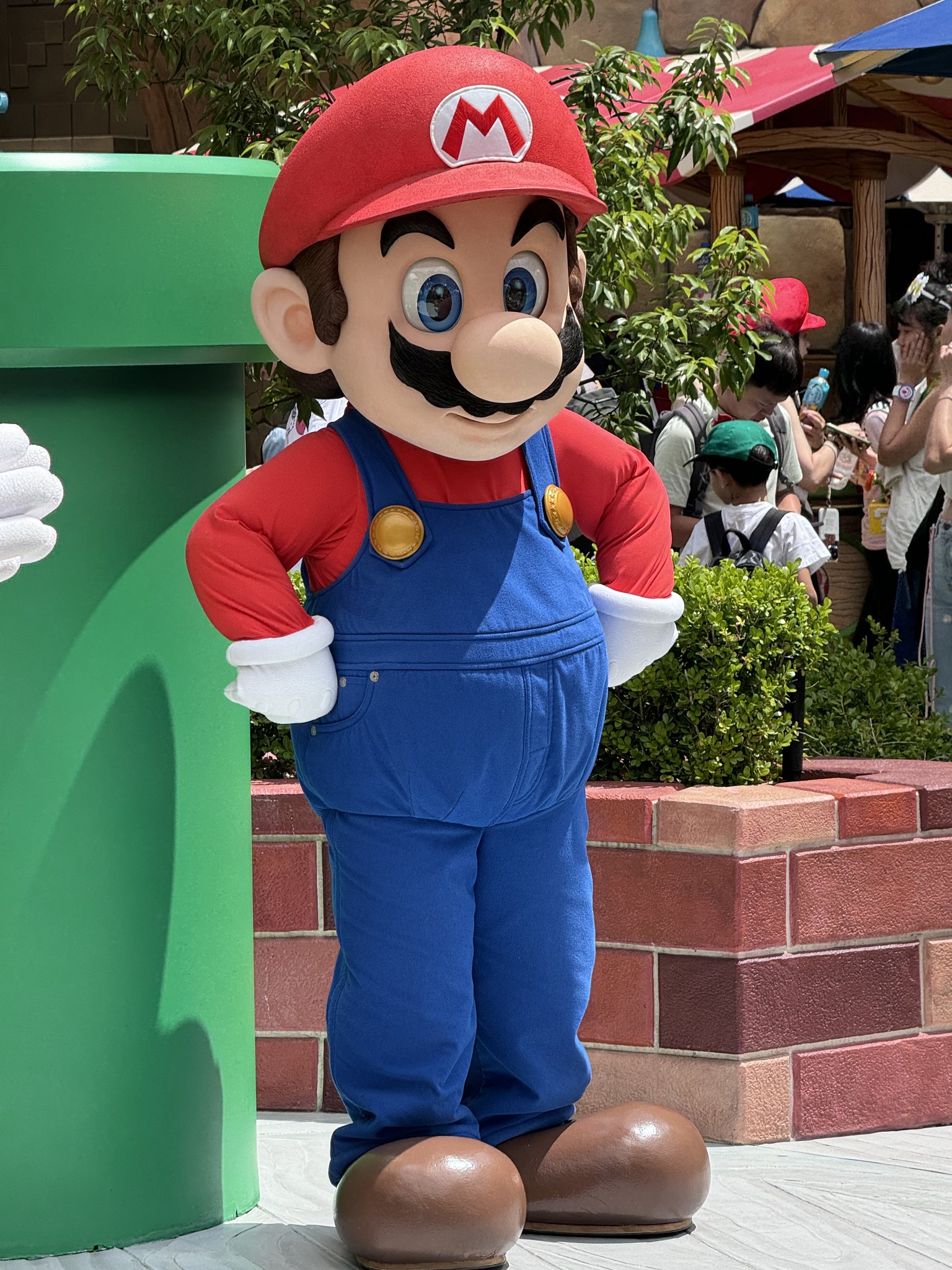 マリオ・マリオ